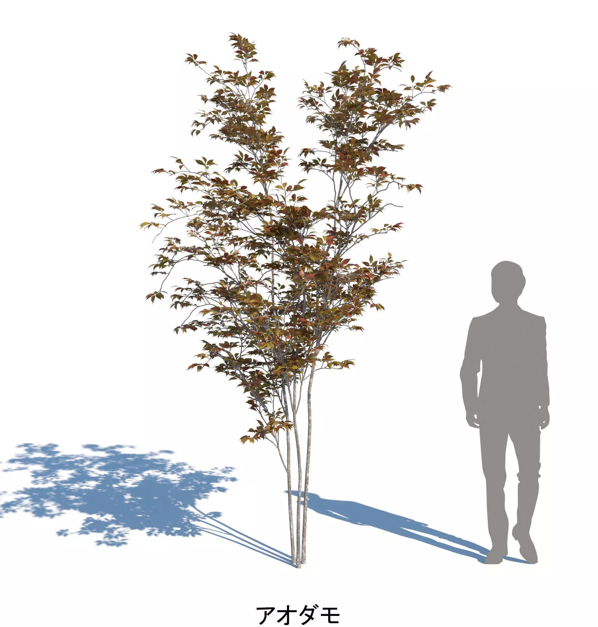 ApartmentSet3v2 3D model_7