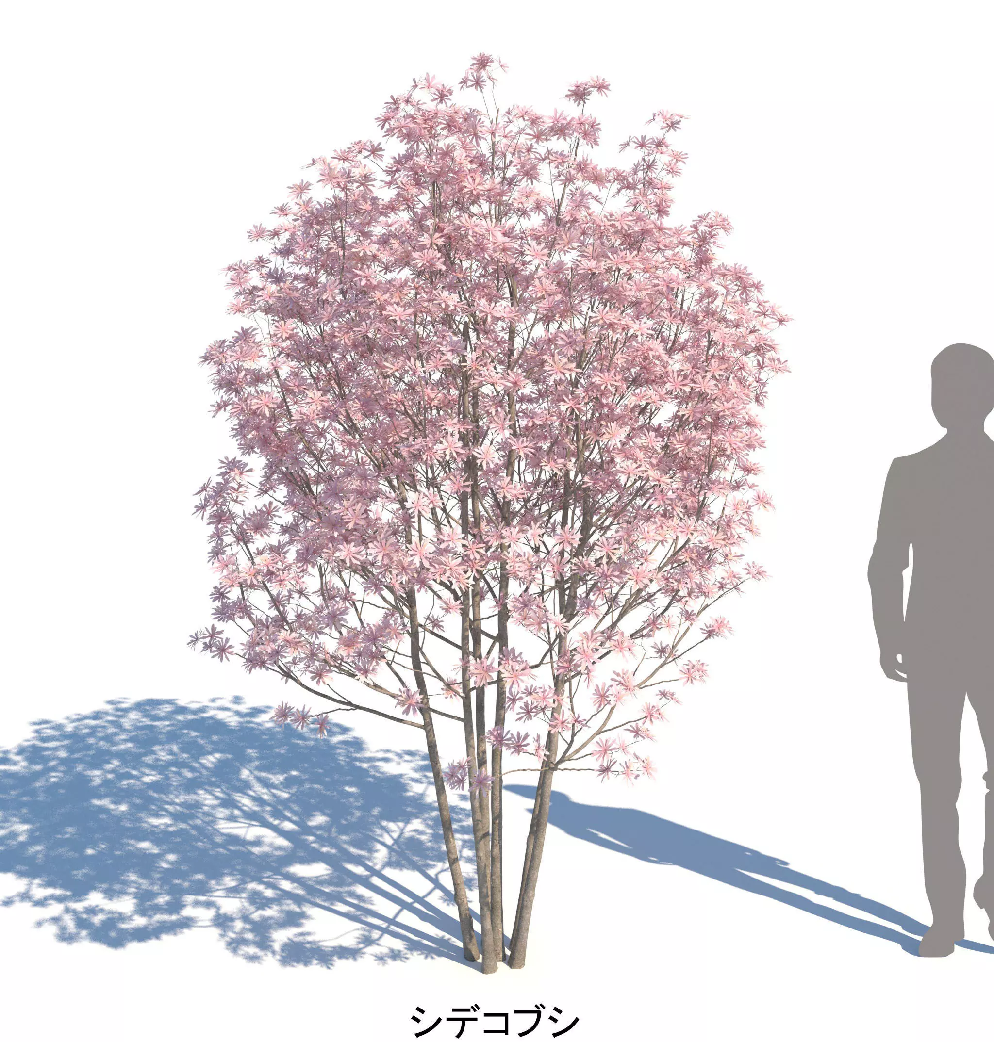 ApartmentSet4v2 3D model_6