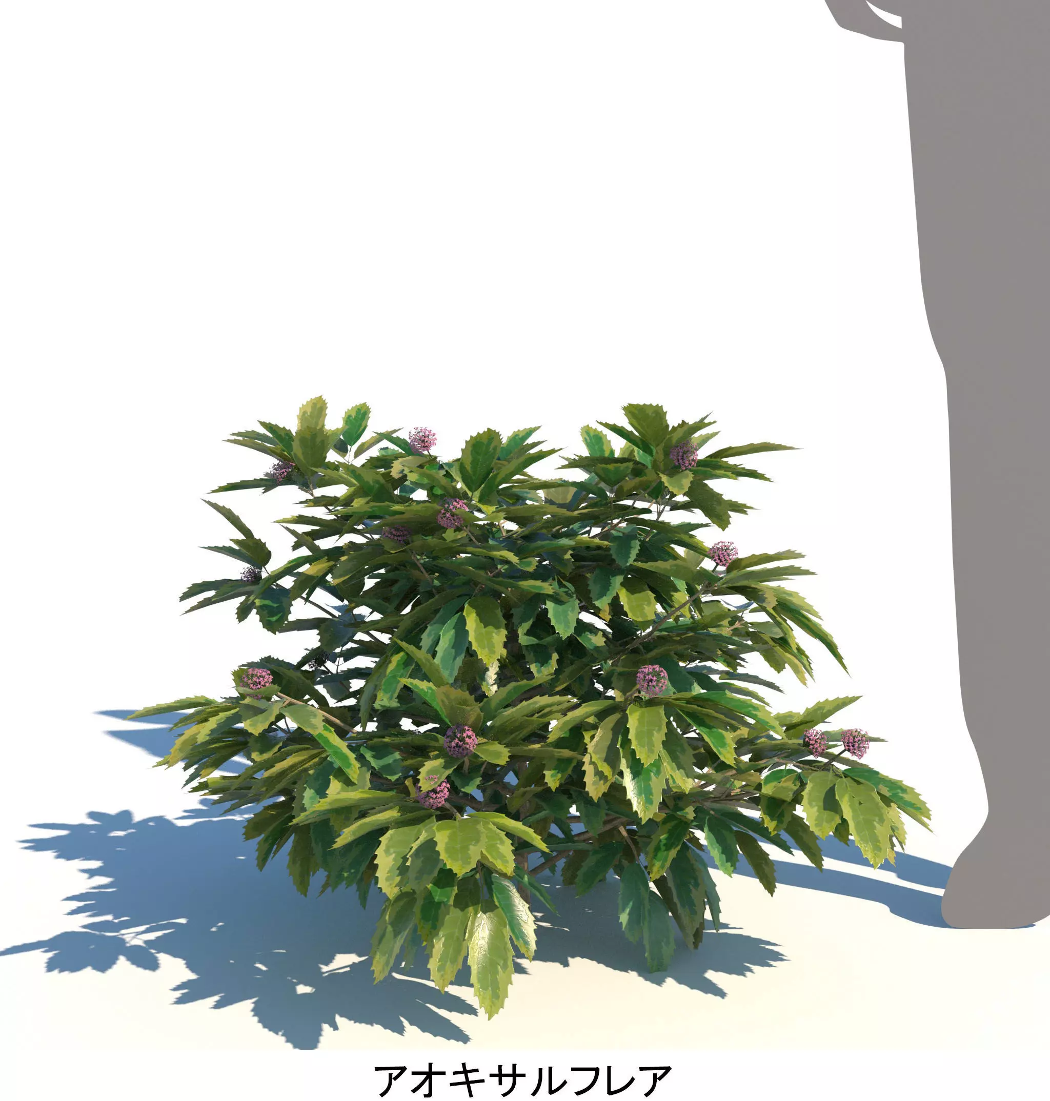 ApartmentSet4v2 3D model_10