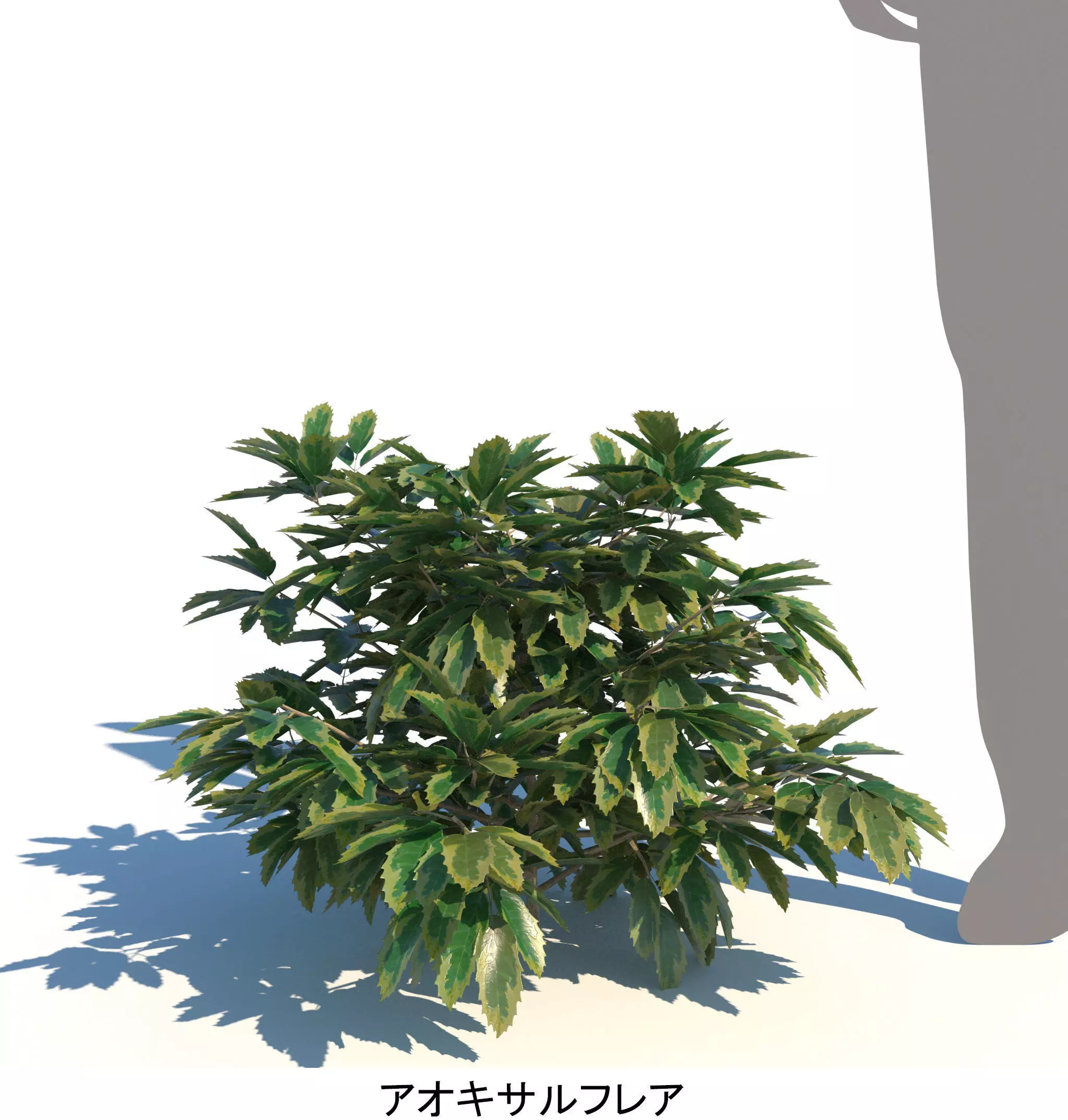 ApartmentSet4v2 3D model_11