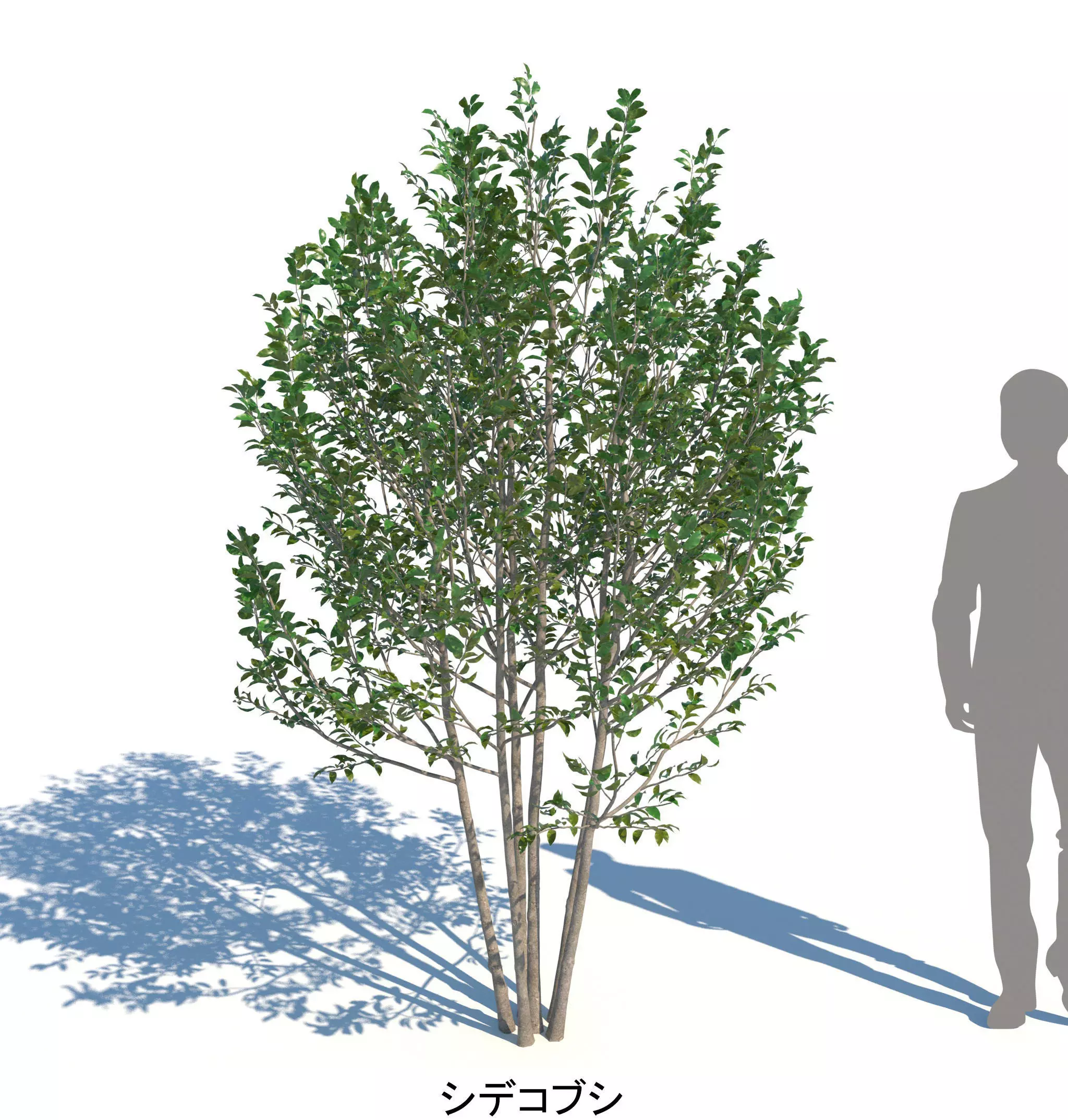 ApartmentSet4v2 3D model_7