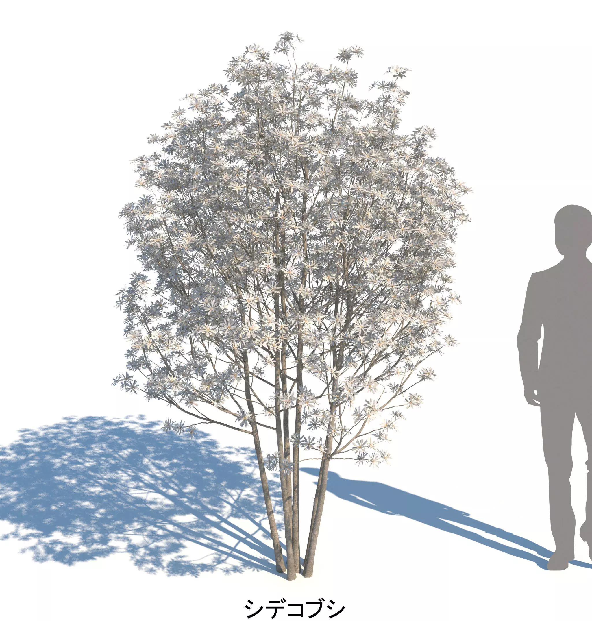 ApartmentSet4v2 3D model_5