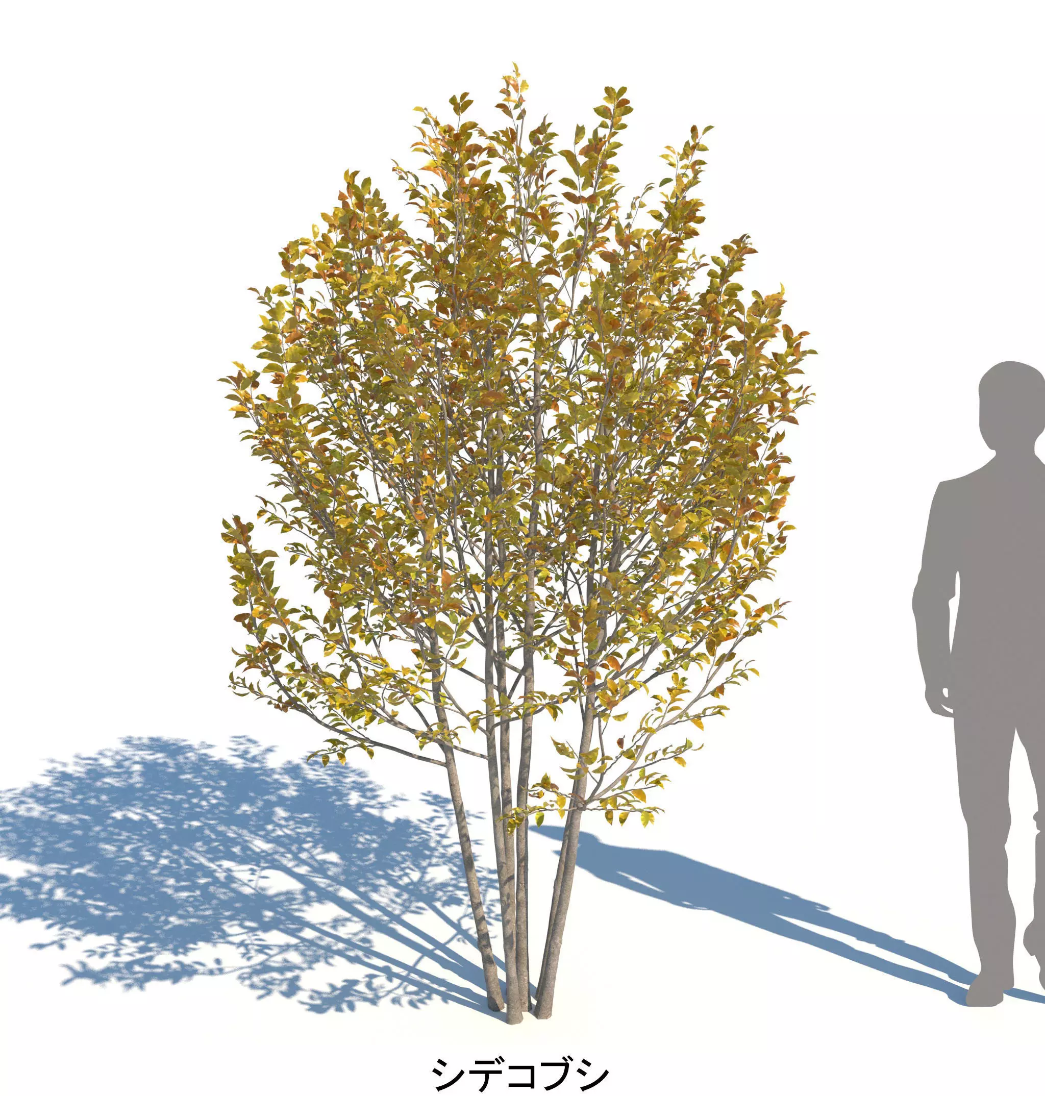 ApartmentSet4v2 3D model_8