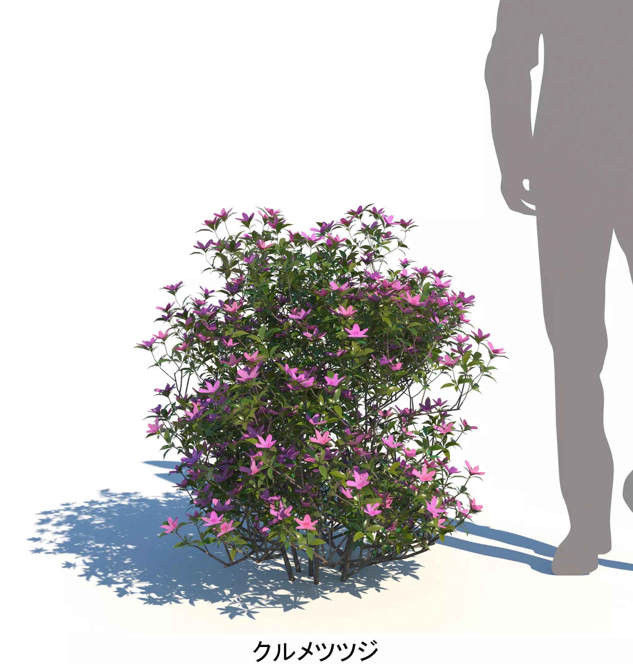 ApartmentSet5v2 3D model_11