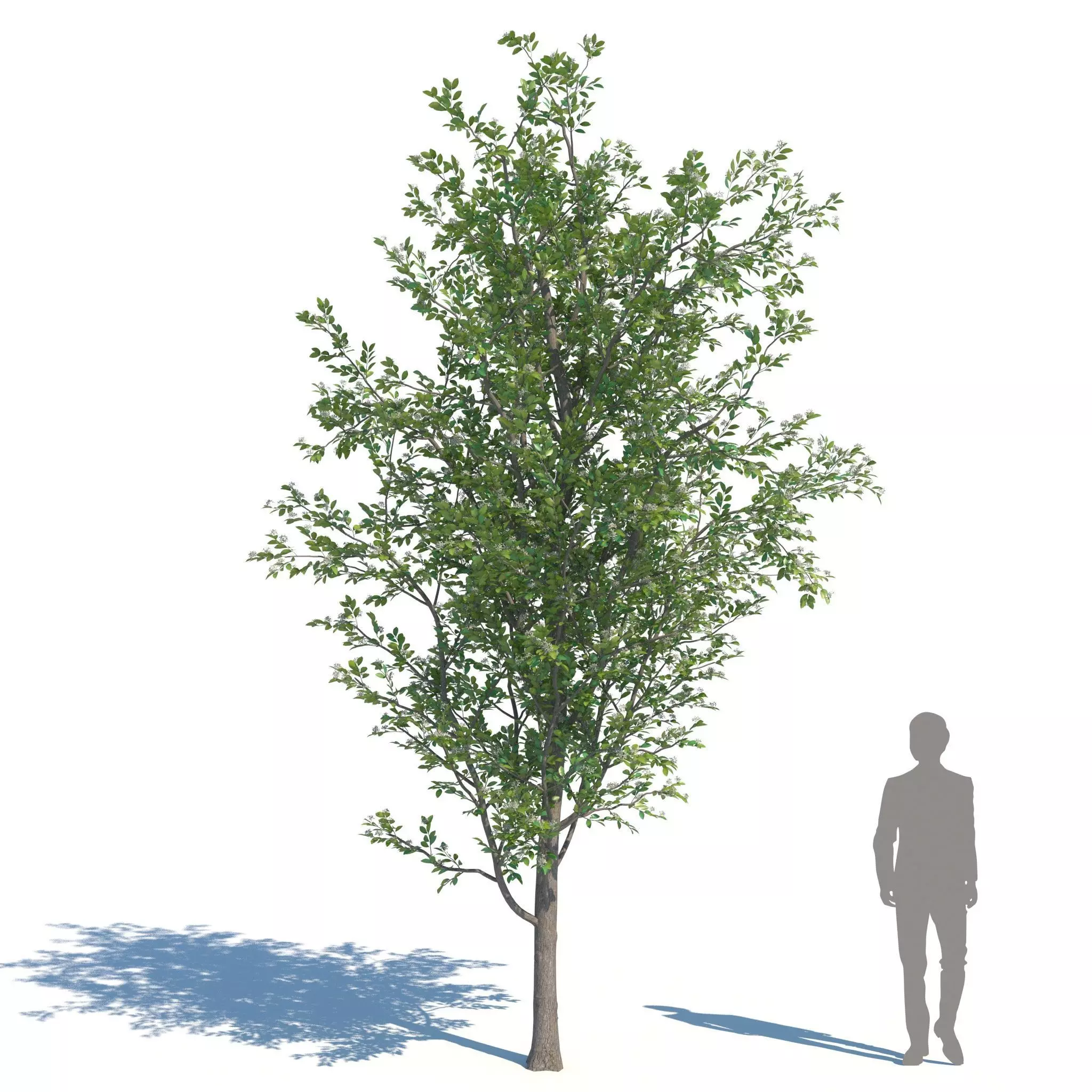 ApartmentSet5v2 3D model_7