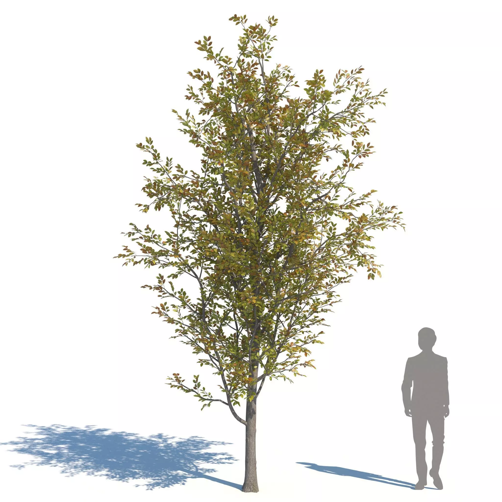 ApartmentSet5v2 3D model_5