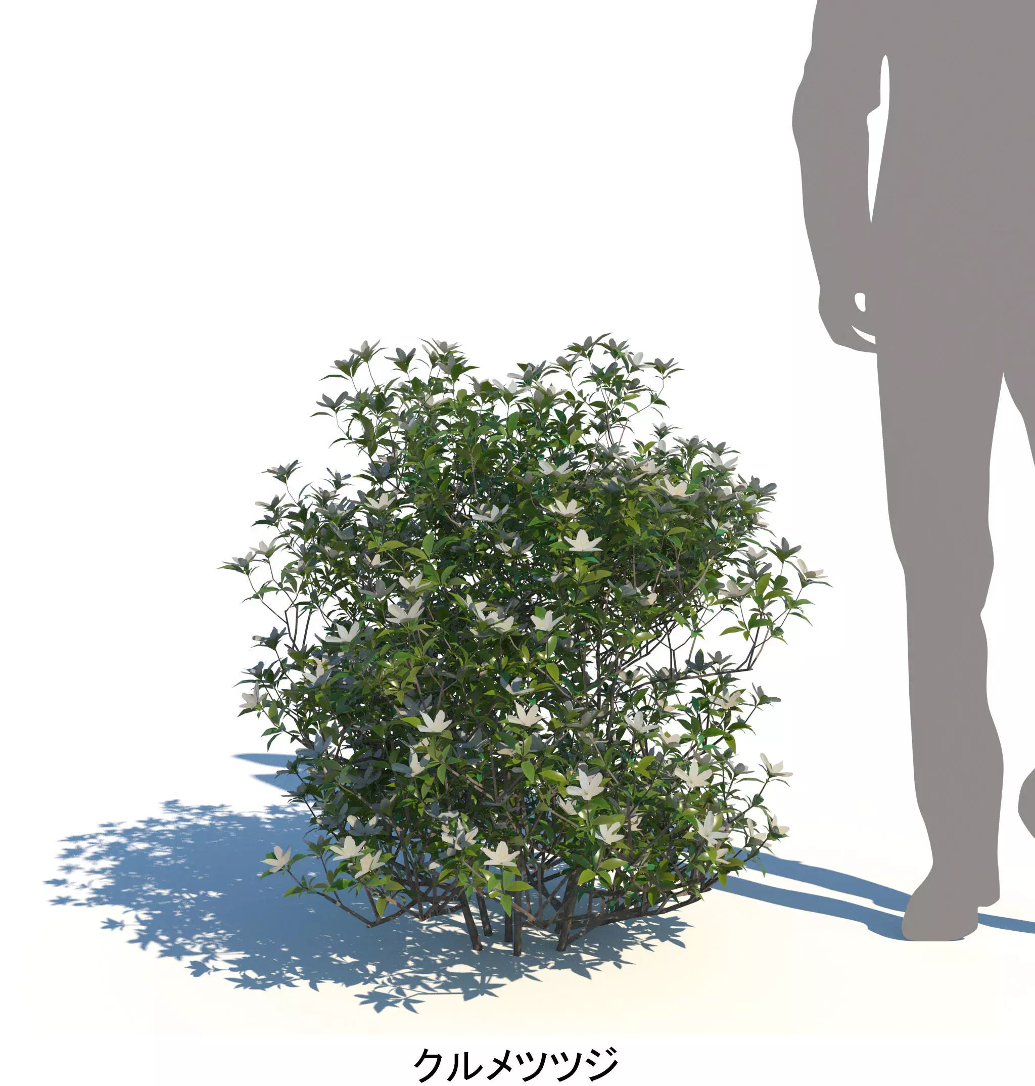 ApartmentSet5v2 3D model_9