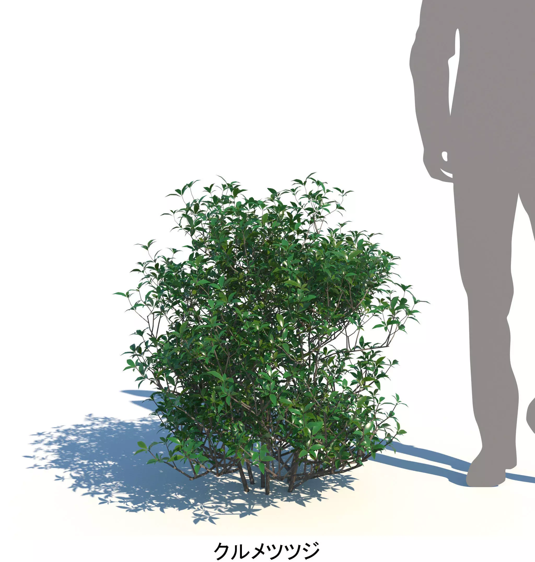 ApartmentSet5v2 3D model_13