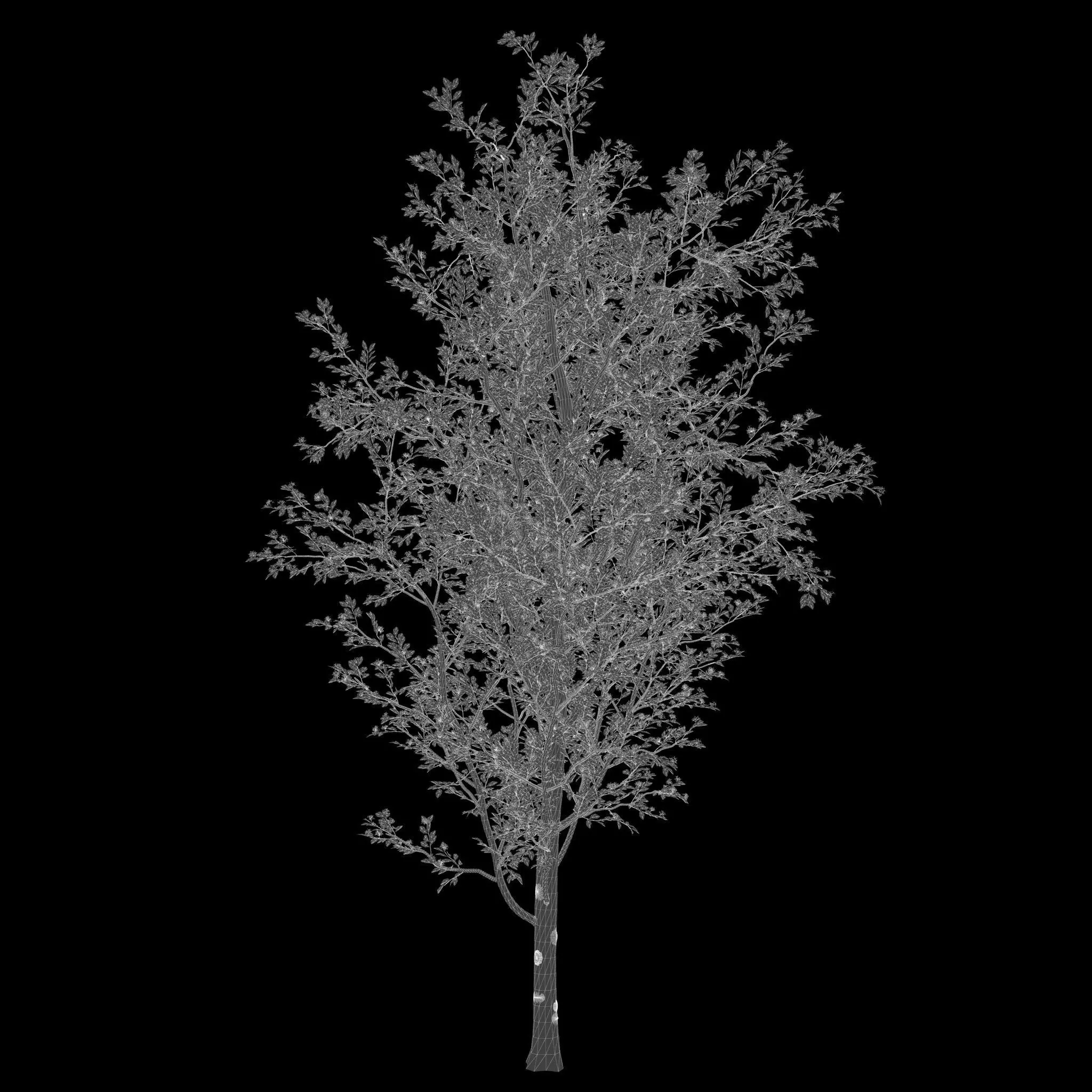 ApartmentSet5v2 3D model_8