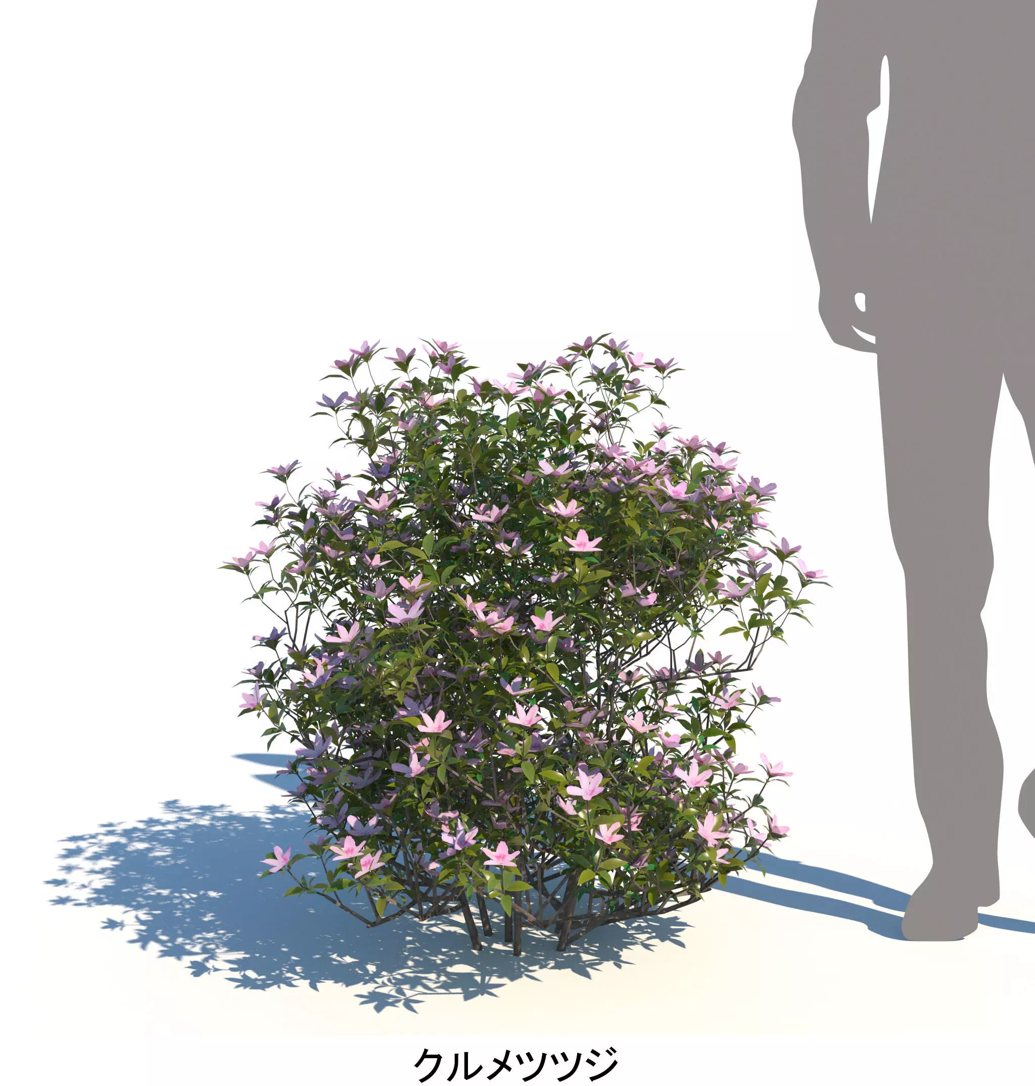 ApartmentSet5v2 3D model_10