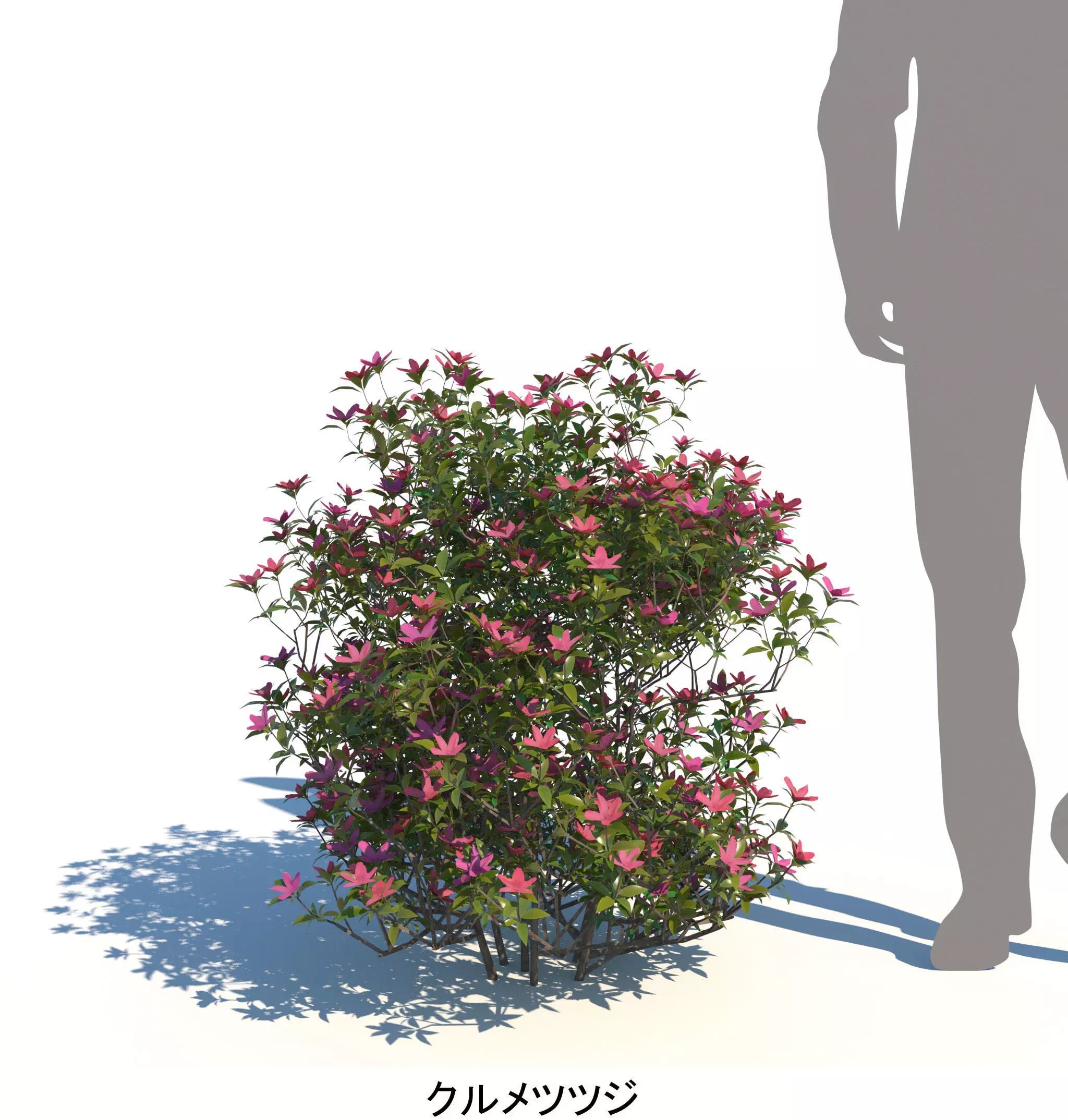 ApartmentSet5v2 3D model_12