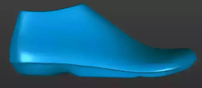 Shoe Last 3D Printable 3D print model