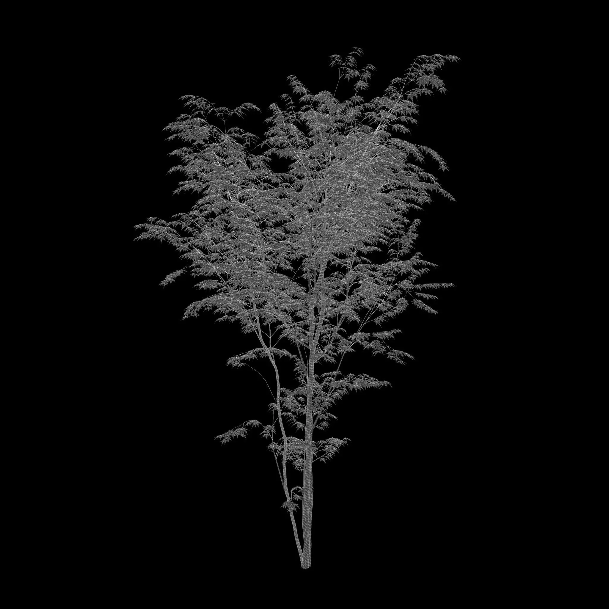 AutumnSelection1v2 3D model_9