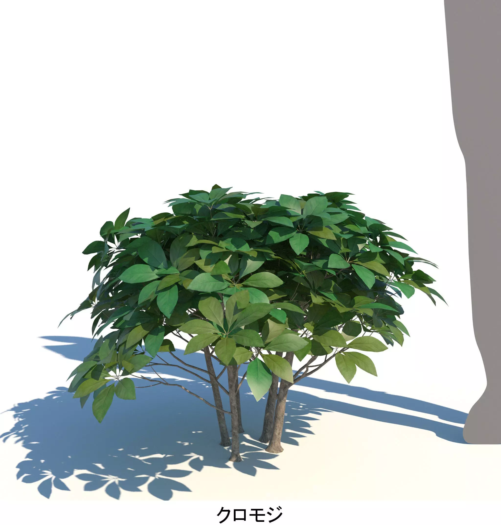 AutumnSelection1v2 3D model_11