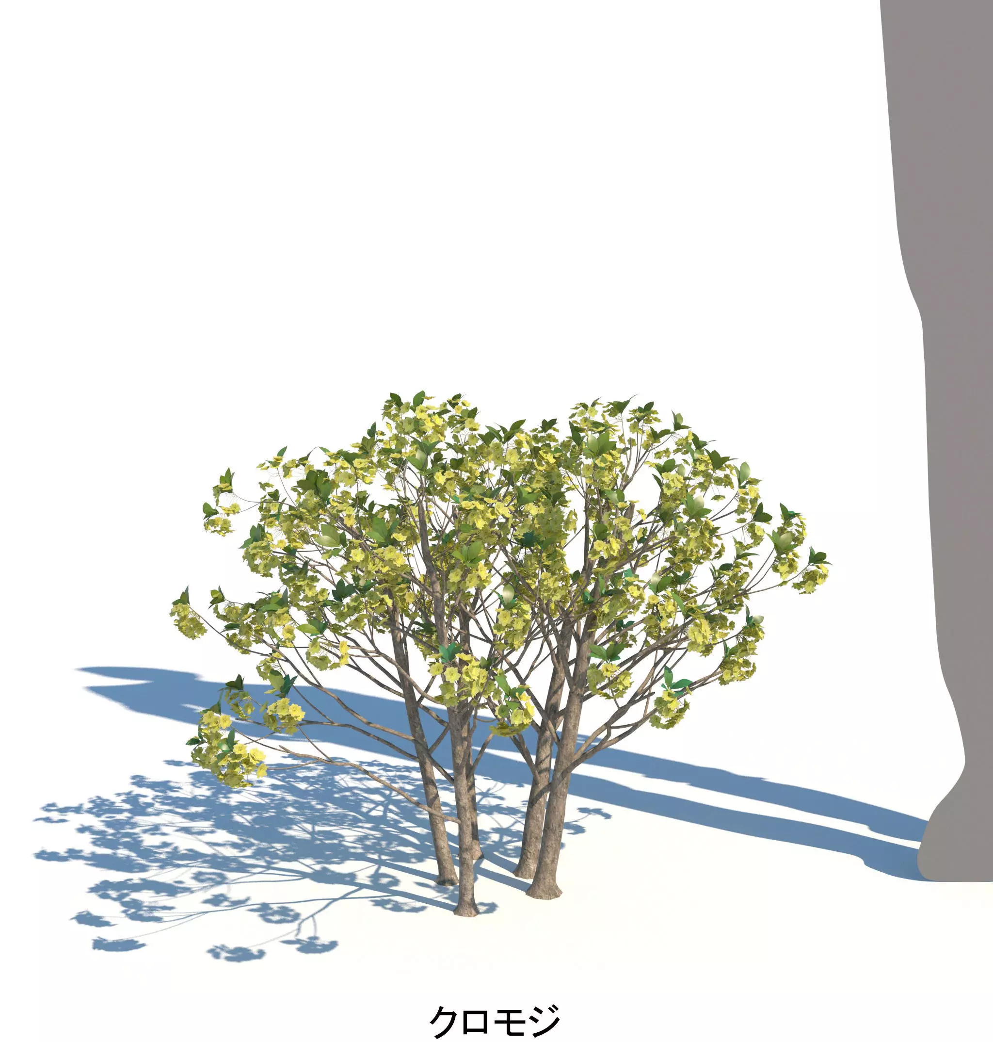 AutumnSelection1v2 3D model_10