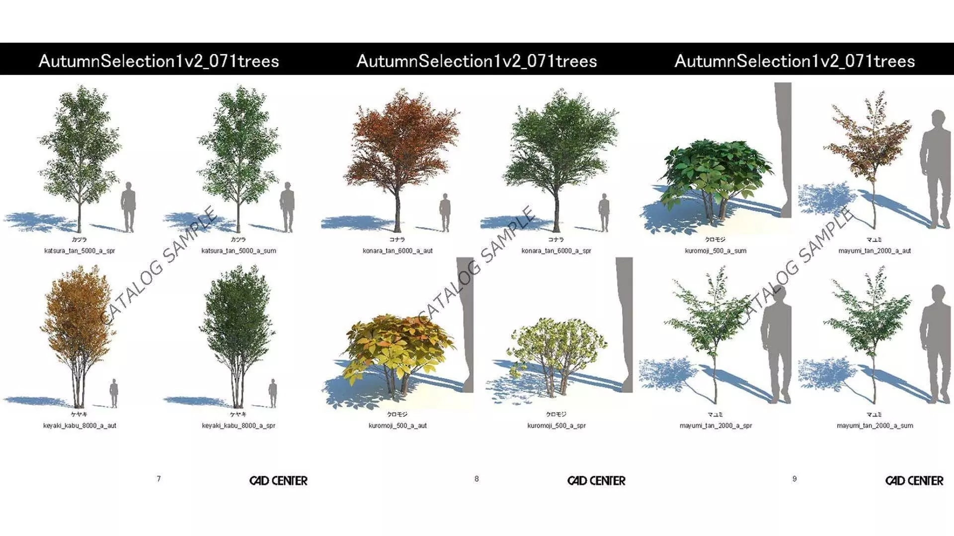 AutumnSelection1v2 3D model_16