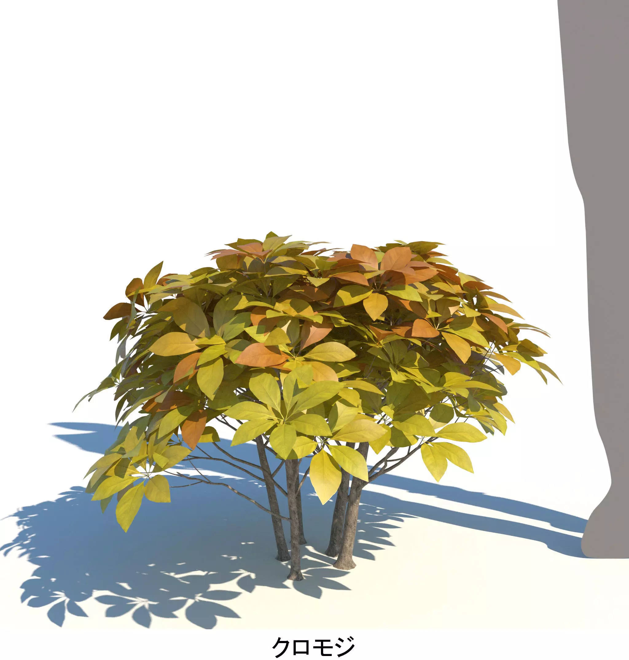 AutumnSelection1v2 3D model_12