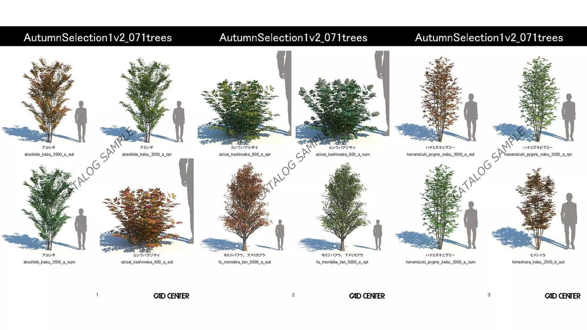 AutumnSelection1v2 3D model_14