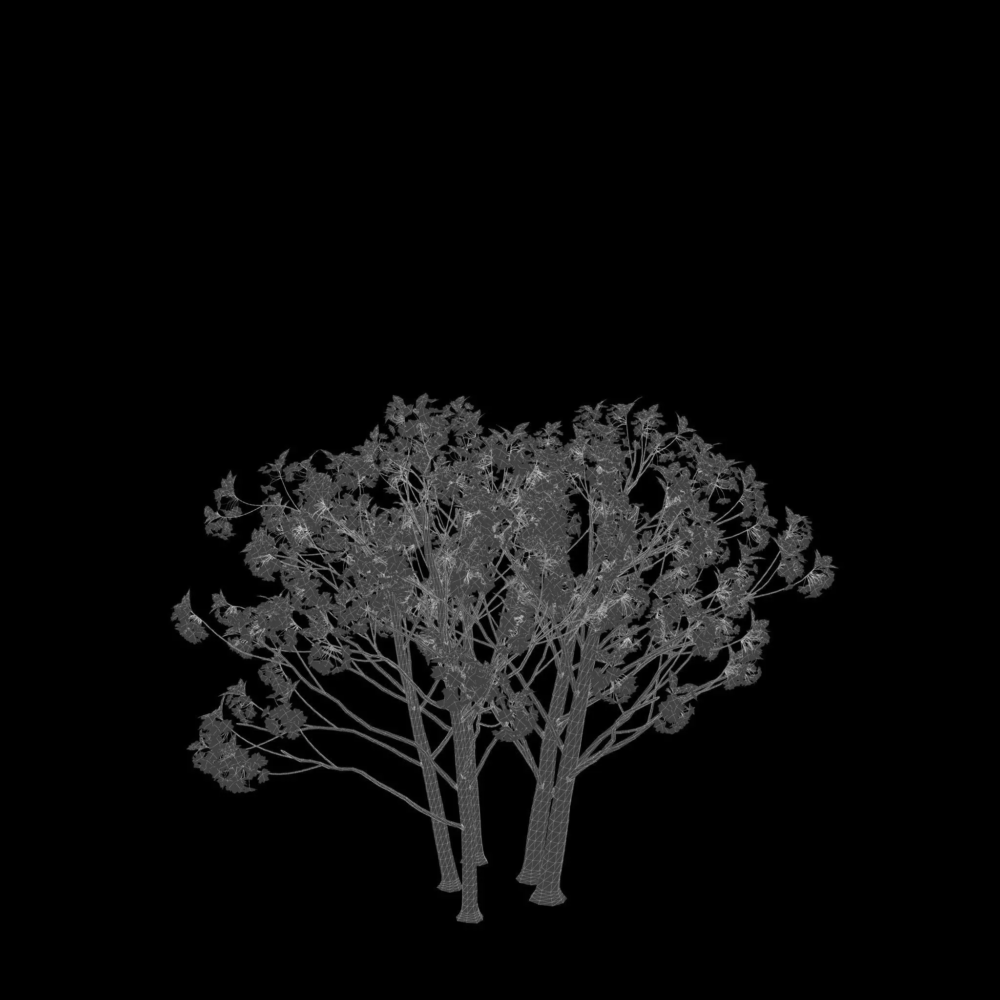 AutumnSelection1v2 3D model_13