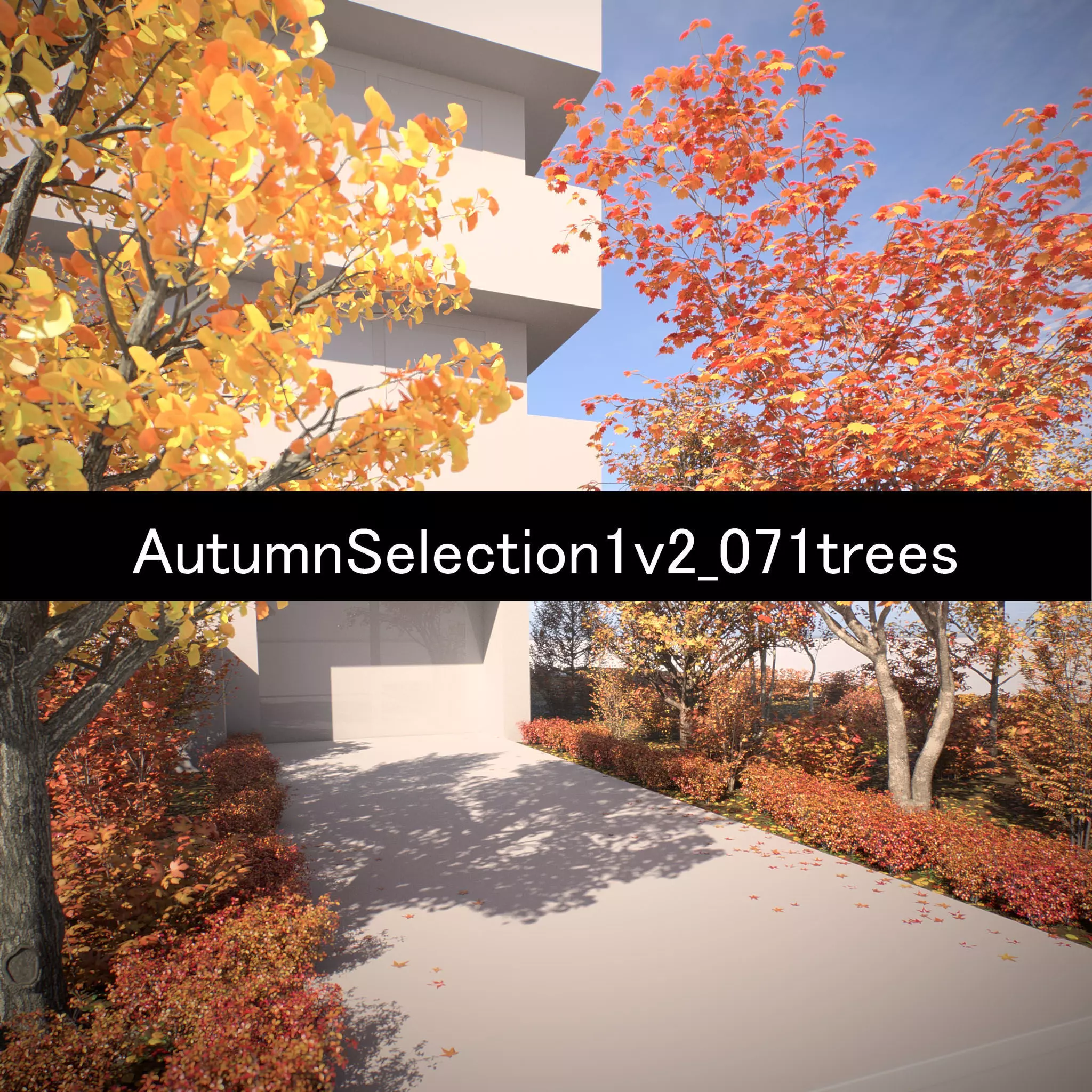 AutumnSelection1v2 3D model_0