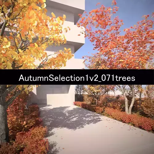 AutumnSelection1v2