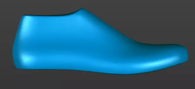 Shoe Last 3D Printable 3D print model_0