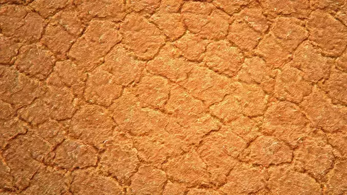Bread Crust PBR Texture
