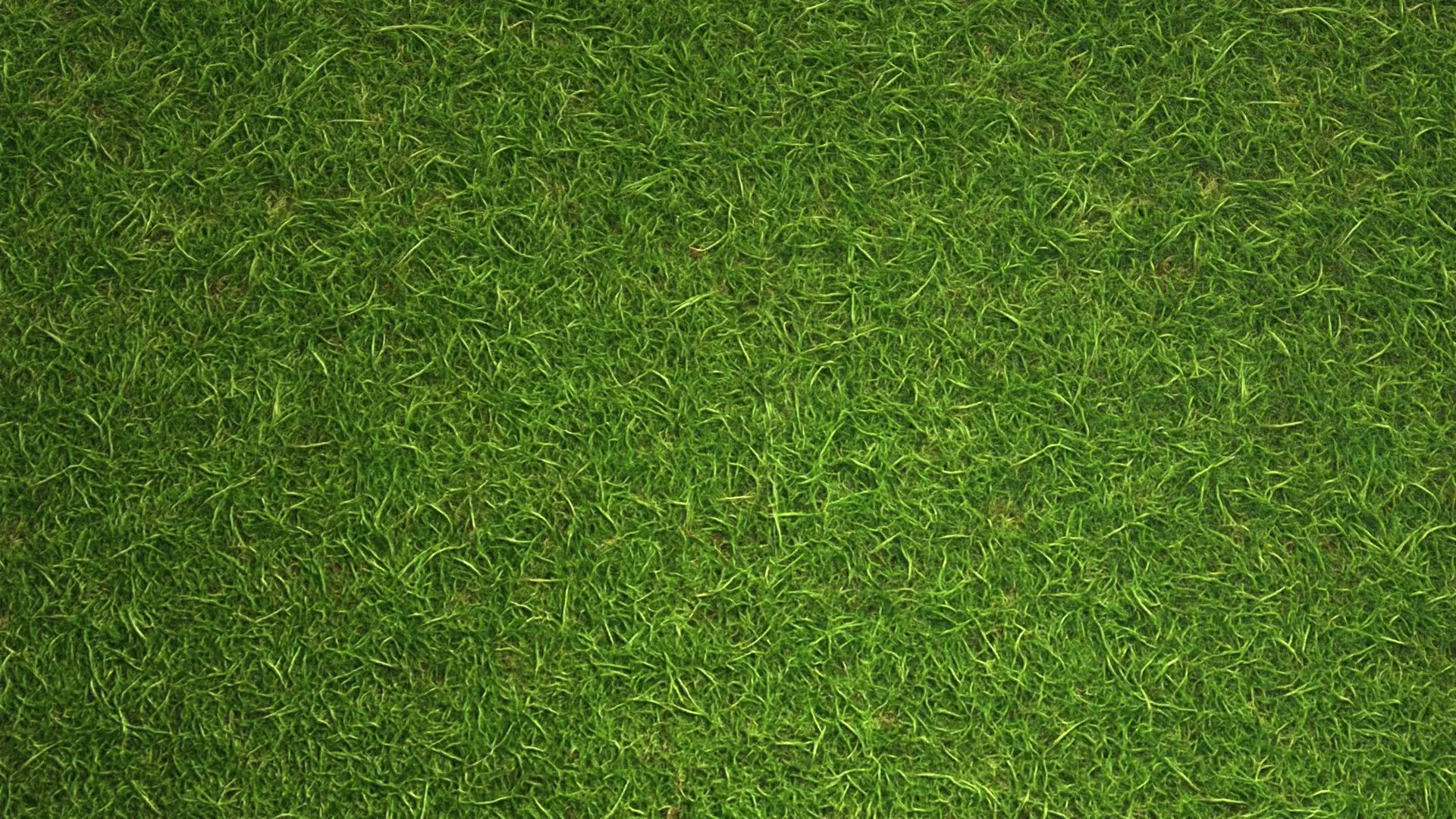 Grass PBR Texture Texture_8