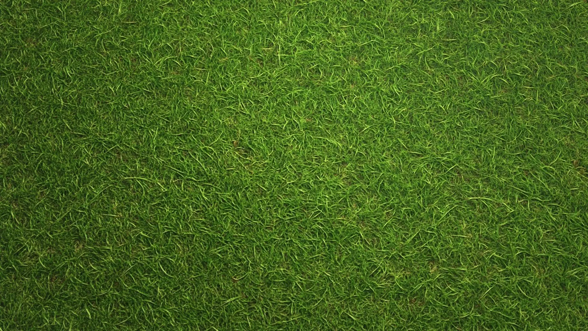 Grass PBR Texture Texture_7