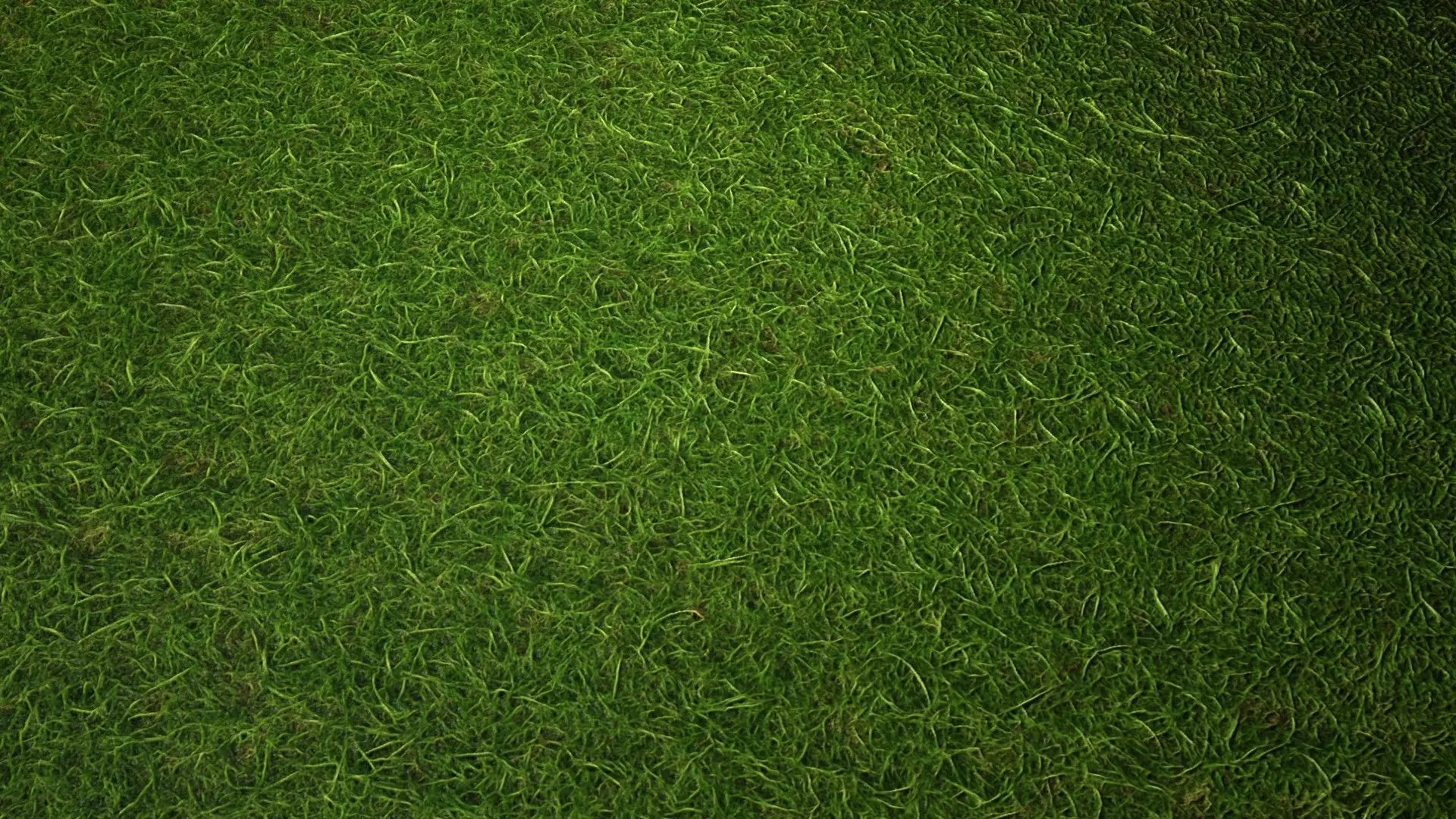 Grass PBR Texture Texture_2