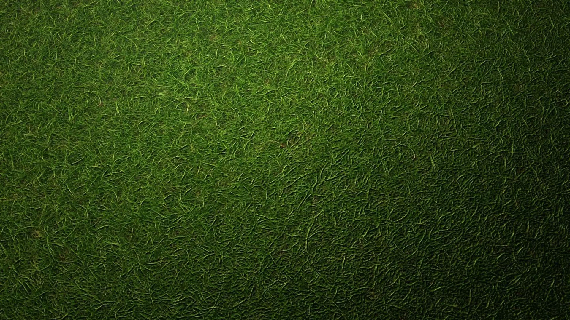 Grass PBR Texture Texture_3