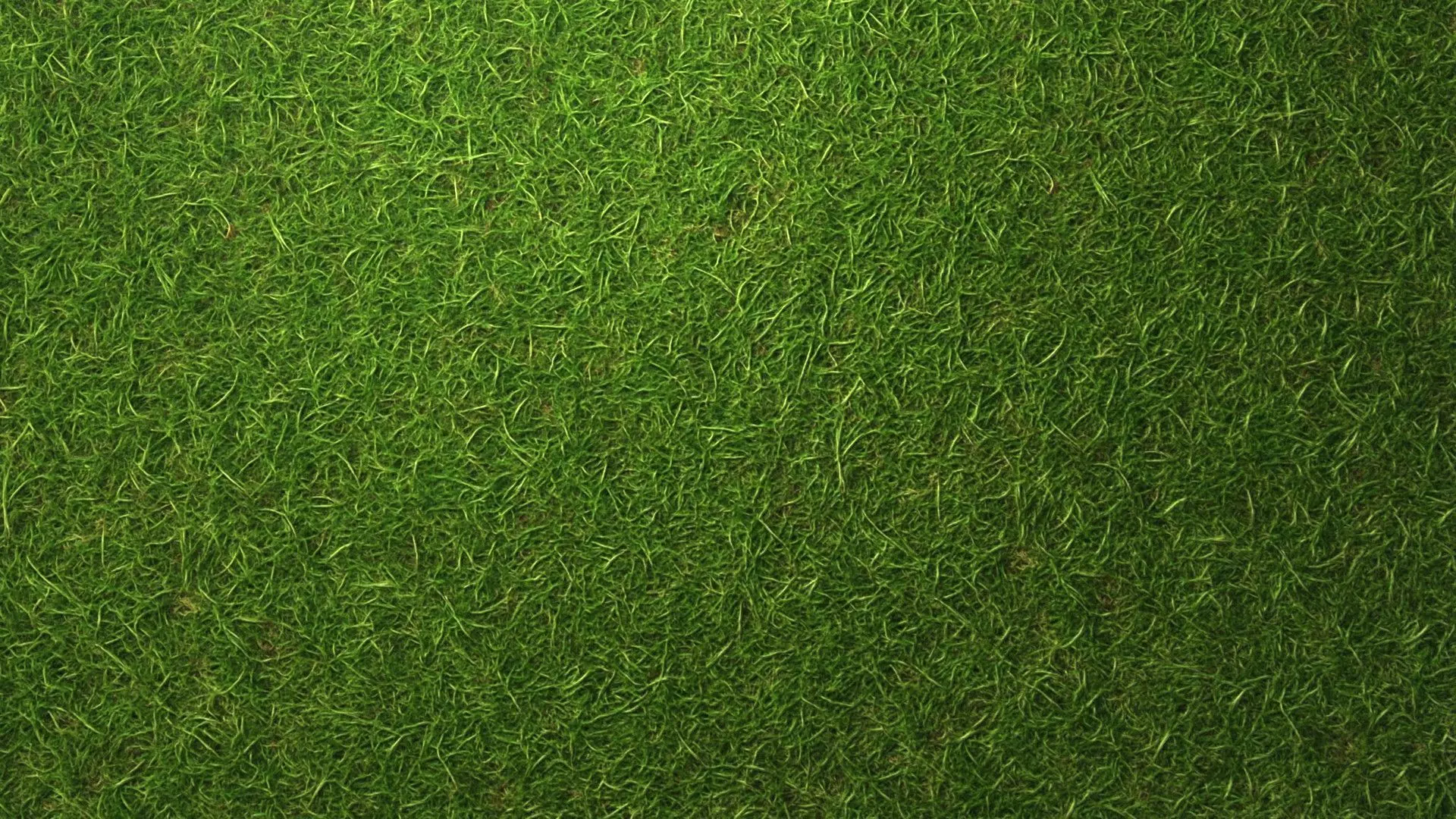 Grass PBR Texture Texture_6