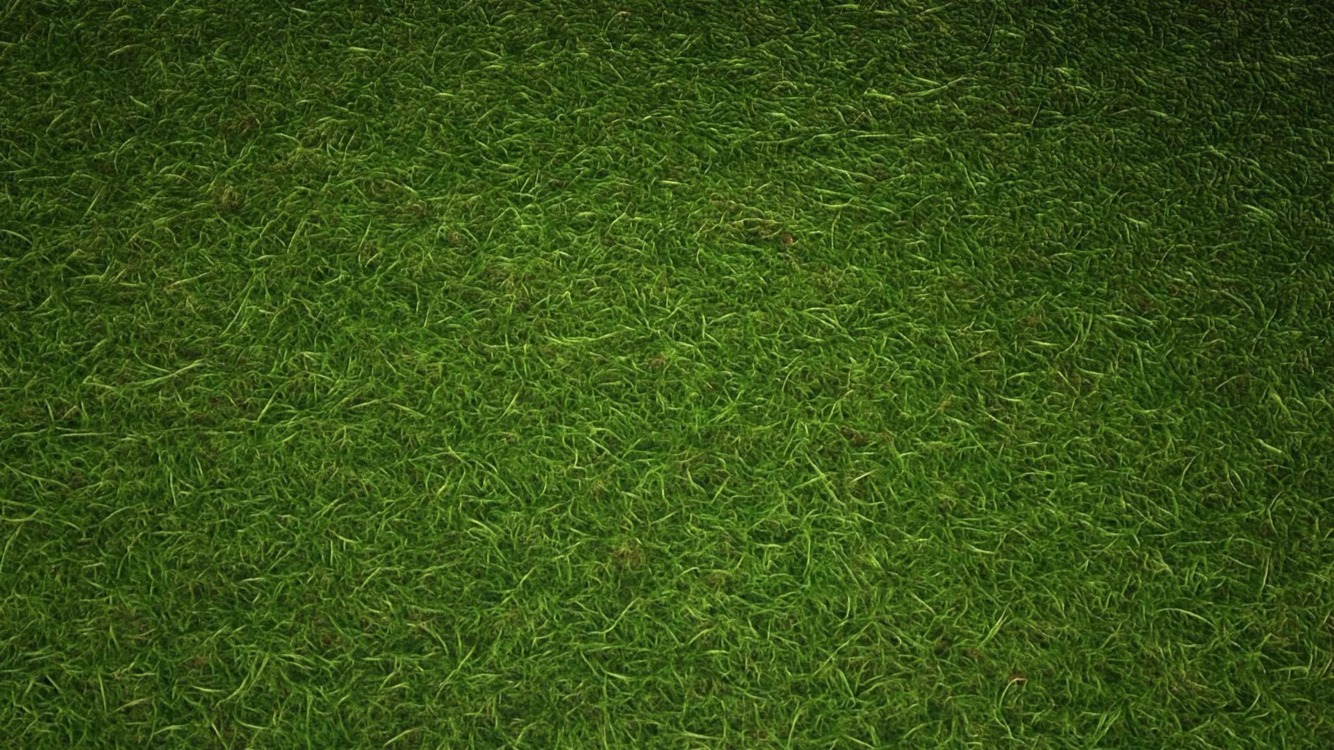 Grass PBR Texture Texture_1