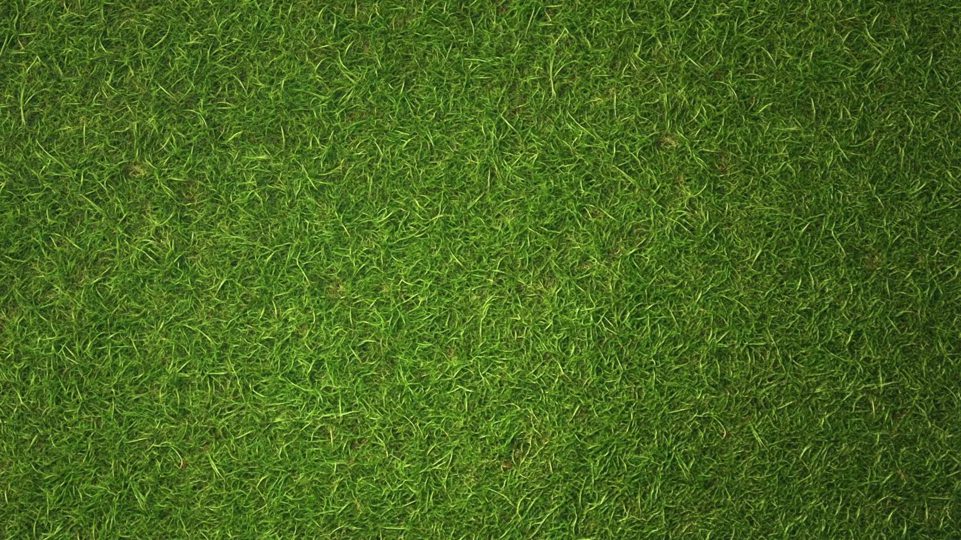 Grass PBR Texture Texture_5