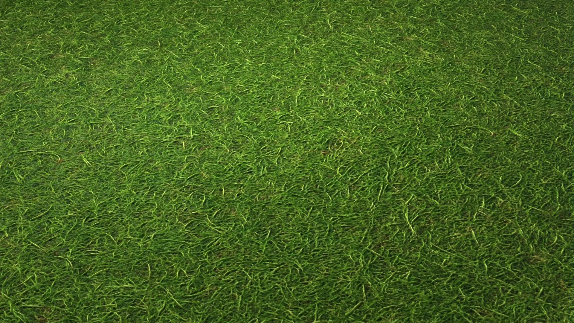 Grass PBR Texture Texture_0