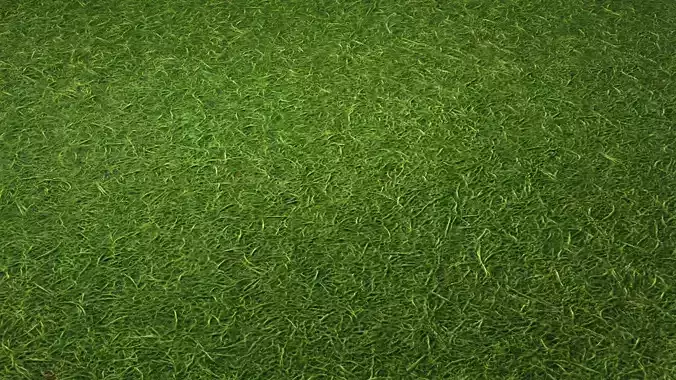 Grass PBR Texture Texture Grass PBR Texture Texture