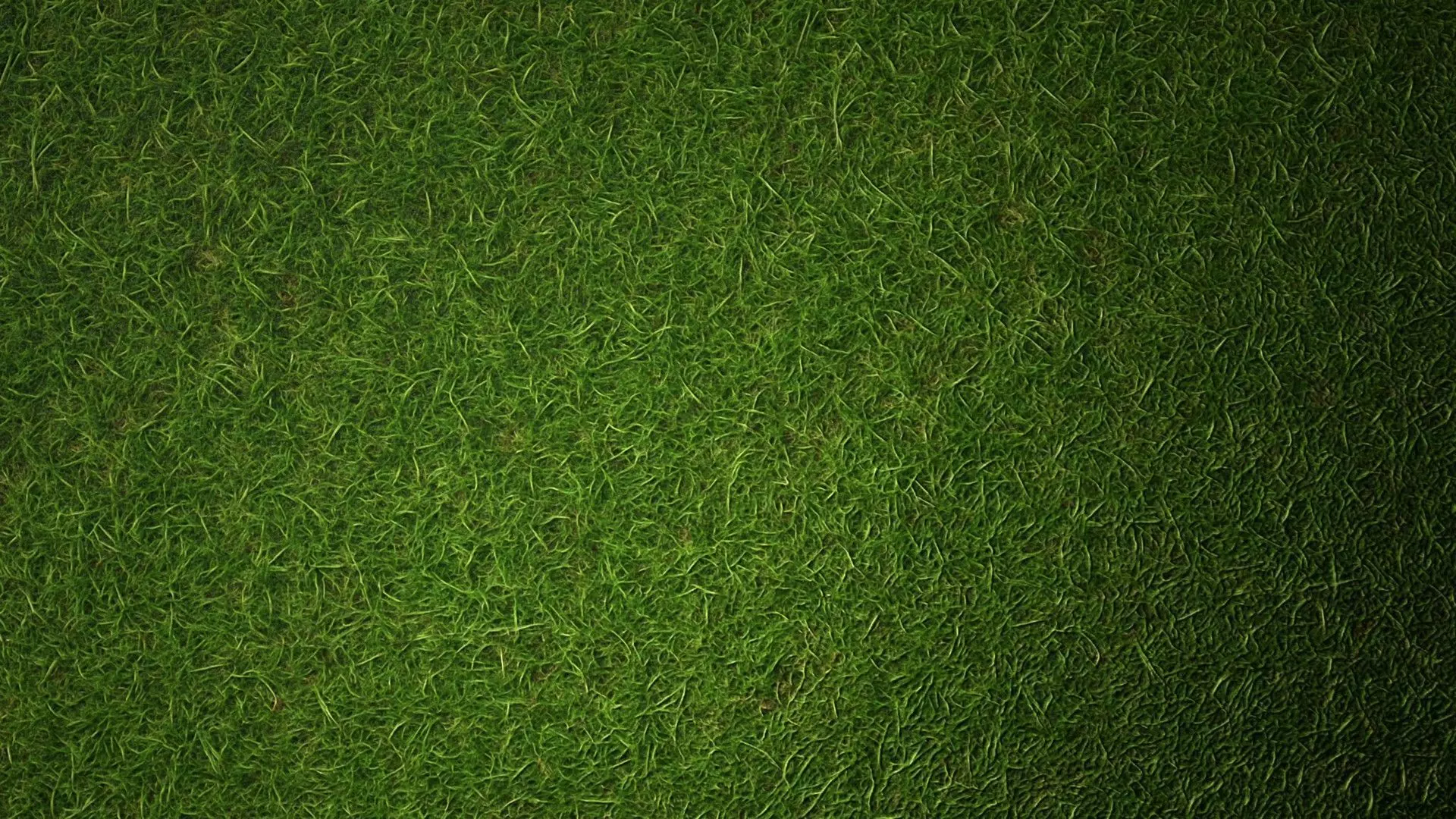 Grass PBR Texture Texture_4
