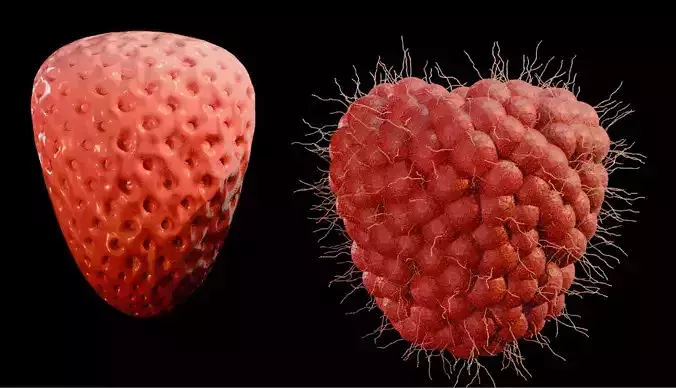 3D Pack  Strawberry and Heart Shaped Raspberry Models