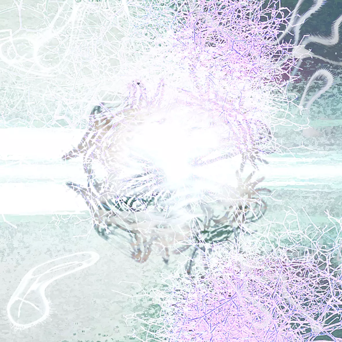 ladies ribbon tops 3d clothing rigged model Low-poly 3D model_7