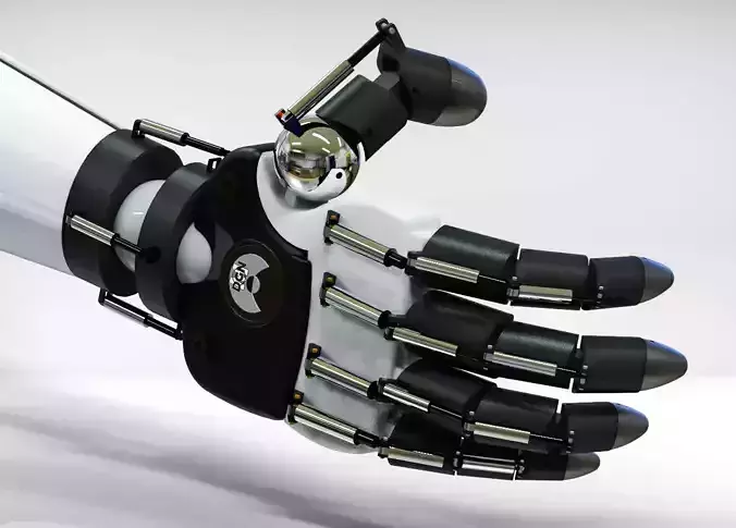Robotic Hand