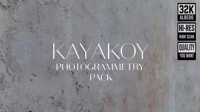 Abandoned Village Surface Scan - Plaster 02