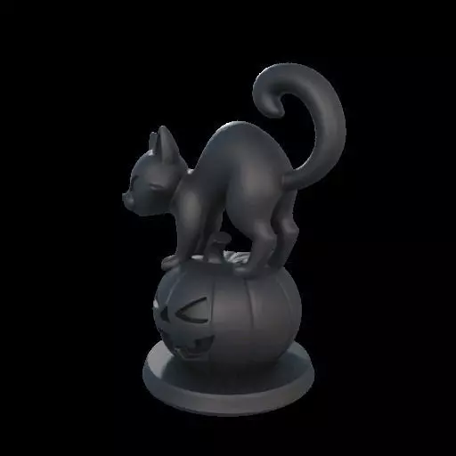 Black Cat on Pumpkin 3D print model_21