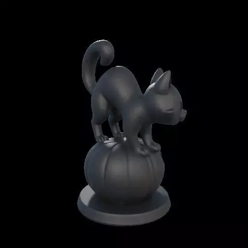Black Cat on Pumpkin 3D print model_4