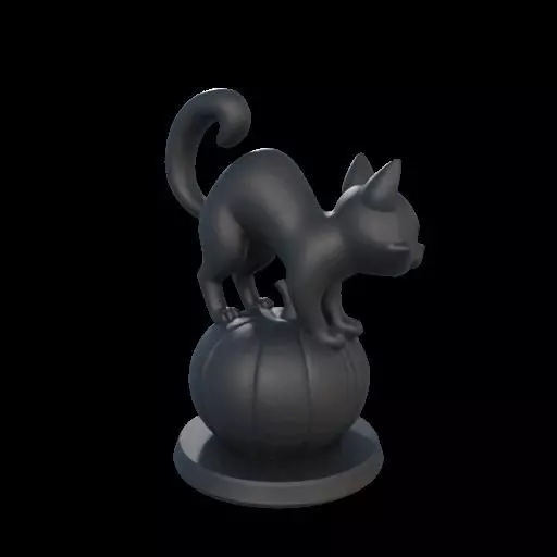 Black Cat on Pumpkin 3D print model_5