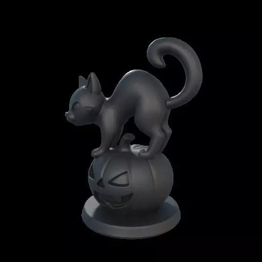 Black Cat on Pumpkin 3D print model_22