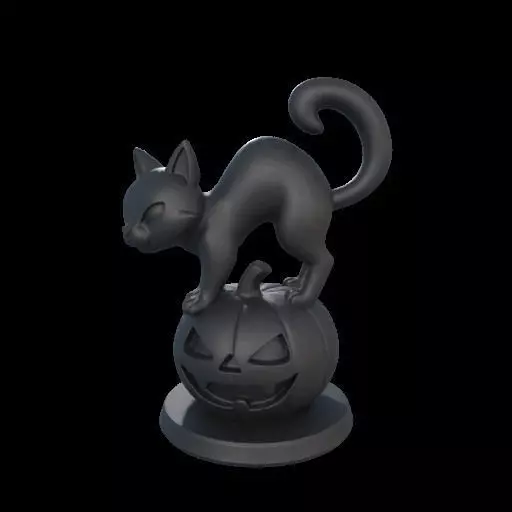 Black Cat on Pumpkin 3D print model_1