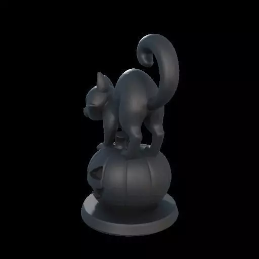 Black Cat on Pumpkin 3D print model_19