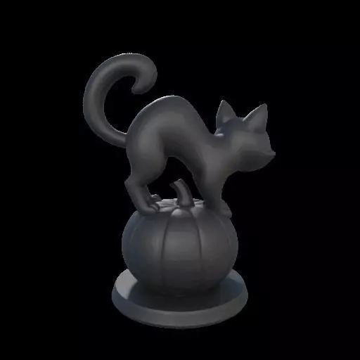 Black Cat on Pumpkin 3D print model_8