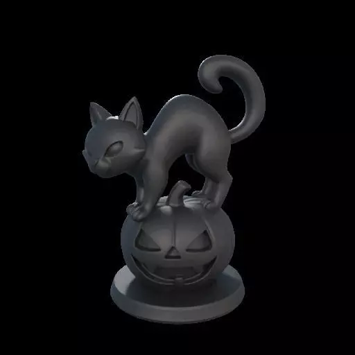 Black Cat on Pumpkin 3D print model_2