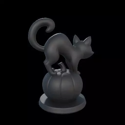 Black Cat on Pumpkin 3D print model_9